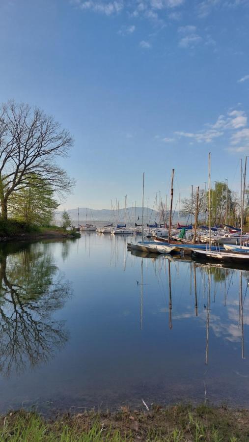Laguna24 Jezioro Zywieckie Klimatyzowany Apartament 40 M2 Zarzecze  Esterno foto